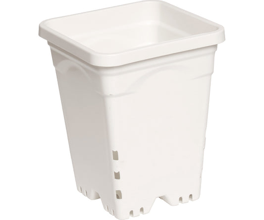 6" x 6" Square White Pot, 8" Tall, case of 50