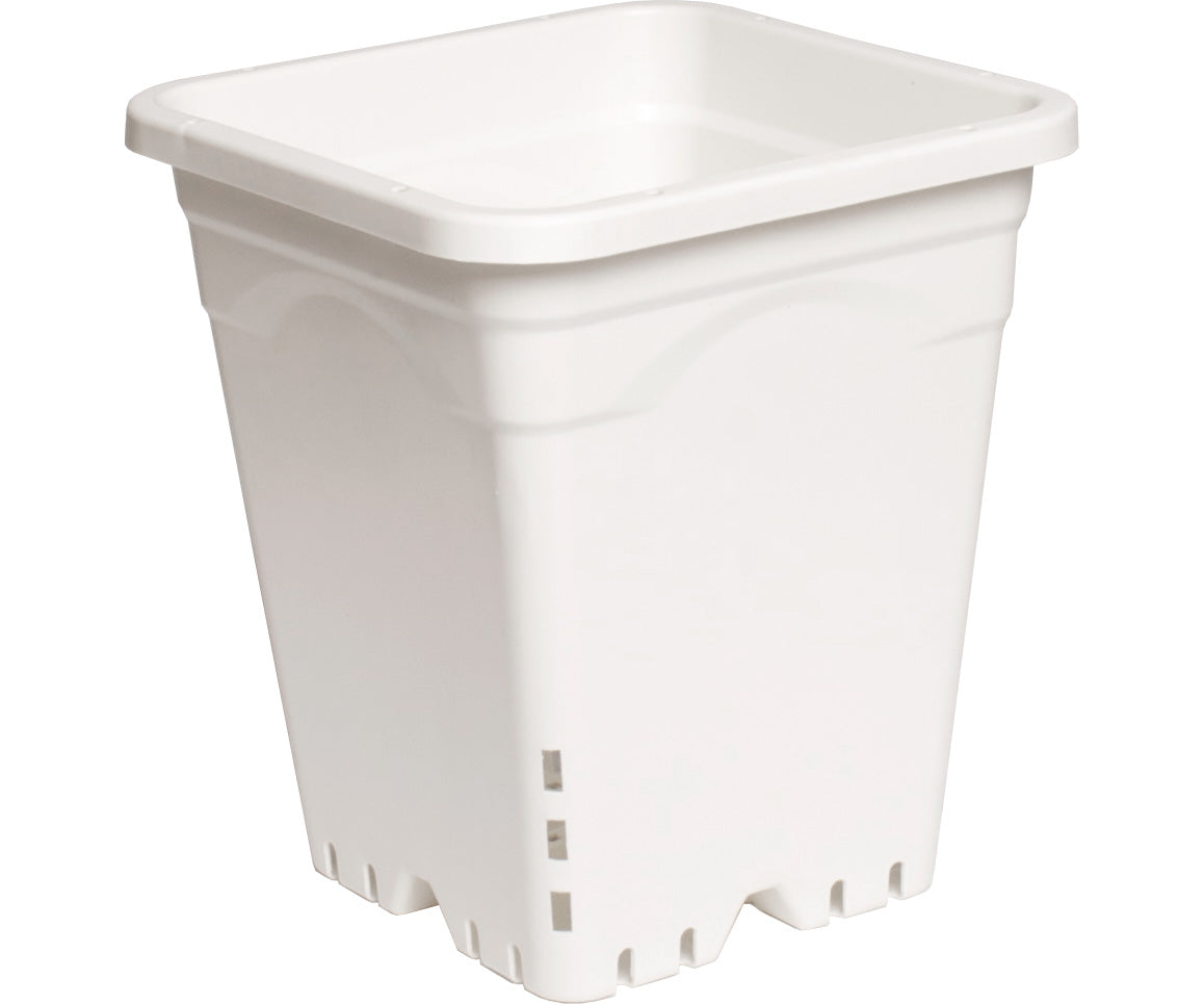 9" x 9" Square White Pot, 10" Tall, case of 24