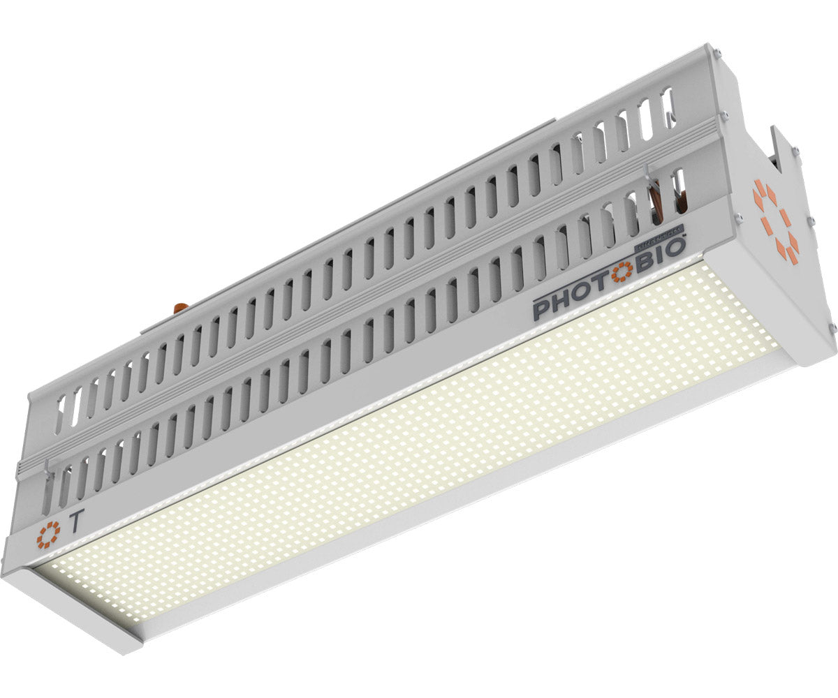 PHOTOBIO T LED, 330W, 100-277V S4, (10' 120V Cord)