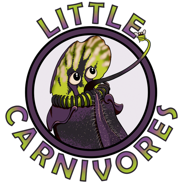 Little Carnivores